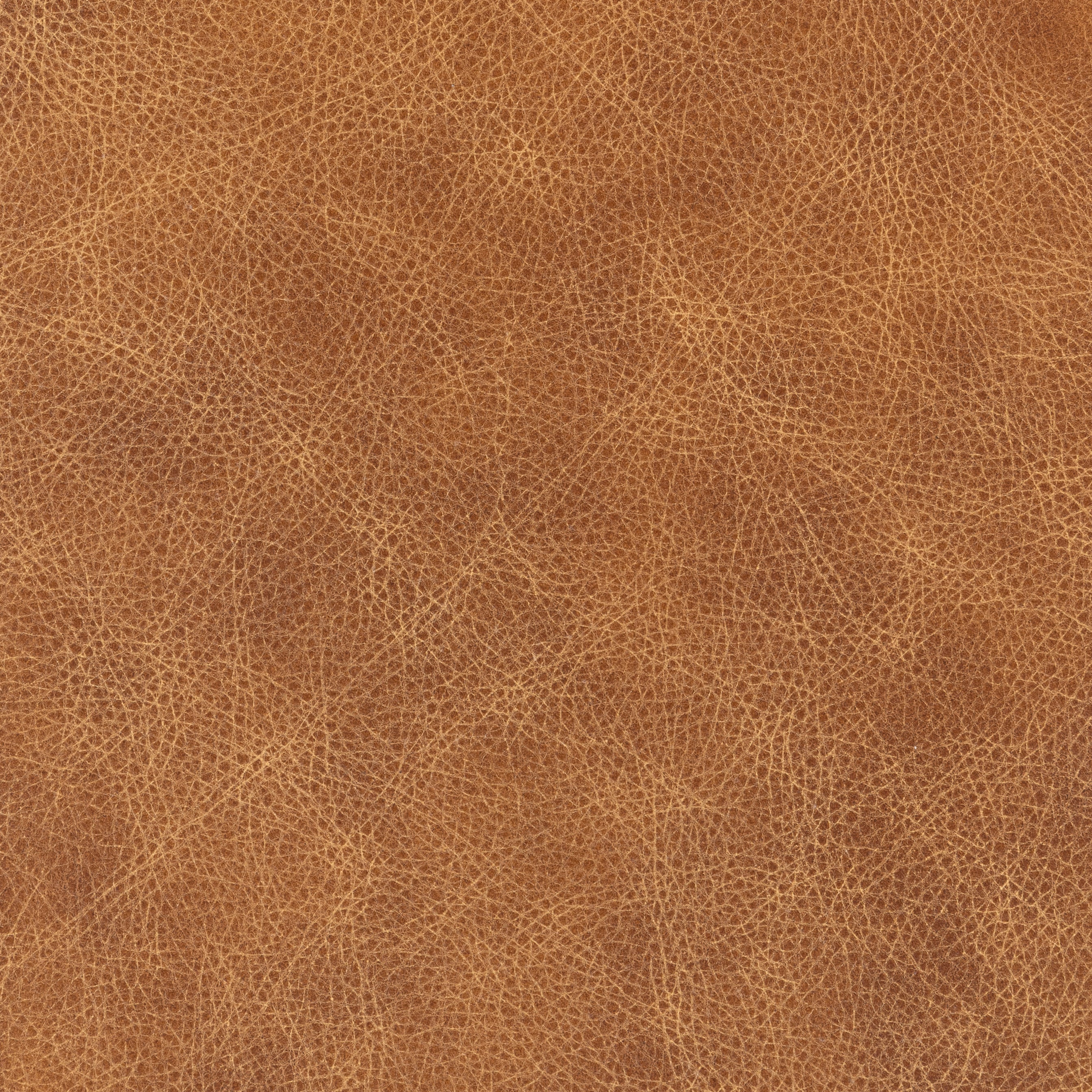 Caplan 4-Piece Modular Sectional - Image 15