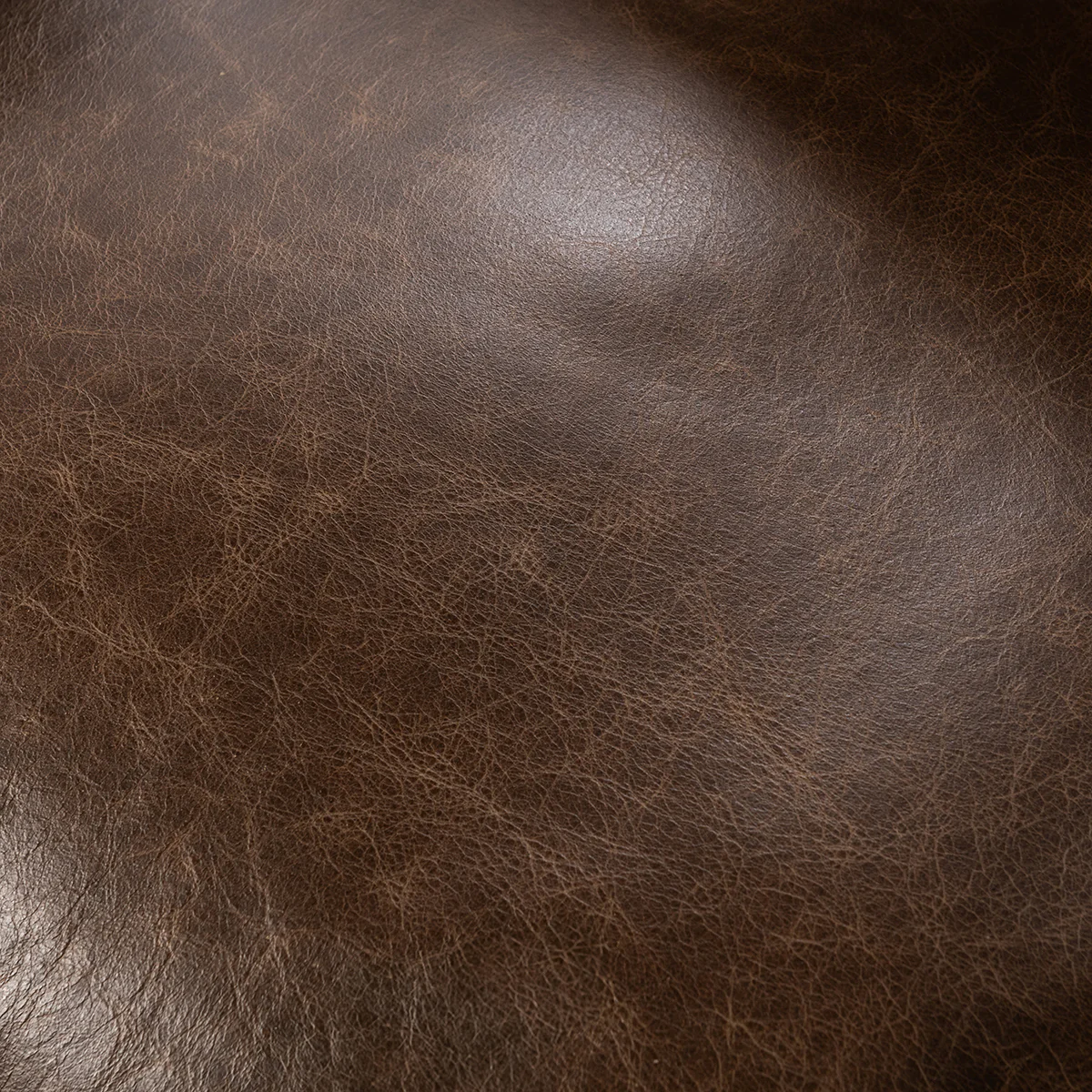 Strapling Leather Dining Chair - Cocoa Brown - Image 6